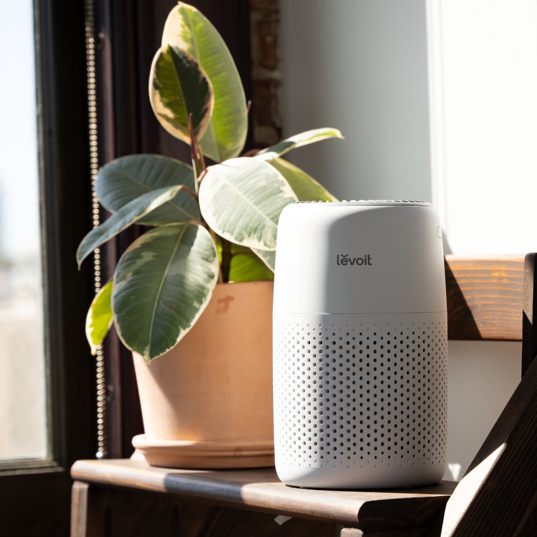 levoit-core-mini-air-purifier-white-259390.jpg