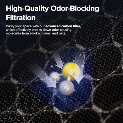 vital-100s-replacement-filter-4457526.jpg