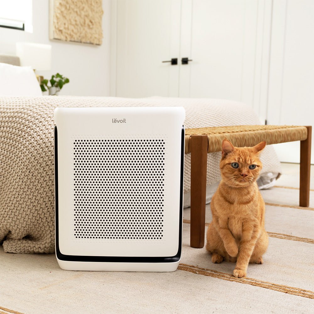 vital-200s-smart-true-hepa-air-purifier-454860.jpg